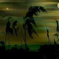 Buy canvas prints of Yellow Moon. by Heather Goodwin