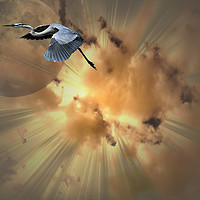Buy canvas prints of Burst of Flight by Heather Goodwin