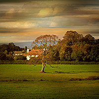 Buy canvas prints of A Quiet Evening by Heather Goodwin