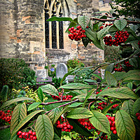 Buy canvas prints of Bristol Cathedral Garden by Heather Goodwin