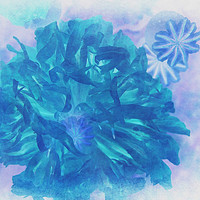 Buy canvas prints of Blue Peony by Heather Goodwin