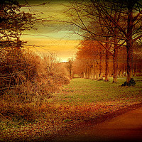 Buy canvas prints of Beech Avenue by Heather Goodwin