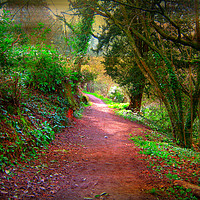 Buy canvas prints of Valley Path by Heather Goodwin