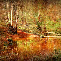 Buy canvas prints of Woodland Lakeside by Heather Goodwin