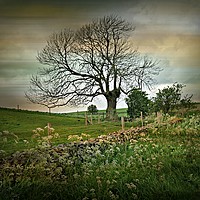 Buy canvas prints of Country Roads by Heather Goodwin