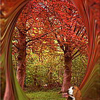 Buy canvas prints of Colour me Autumn by Heather Goodwin