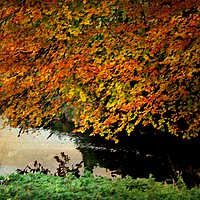 Buy canvas prints of Mother Nature's Riverside - Autumn by Heather Goodwin