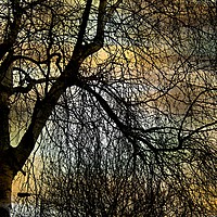 Buy canvas prints of Urban Winter by Heather Goodwin