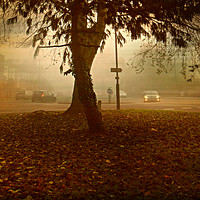 Buy canvas prints of Urban Fog by Heather Goodwin