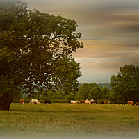 Buy canvas prints of Quiet Pastures by Heather Goodwin
