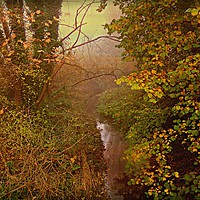 Buy canvas prints of Misty River by Heather Goodwin