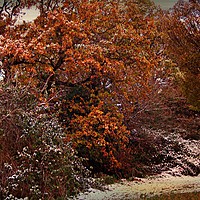 Buy canvas prints of Winter,s Bite by Heather Goodwin