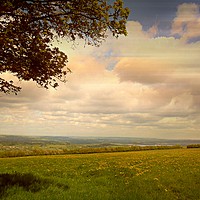 Buy canvas prints of On Top of Blagdon Lakes by Heather Goodwin