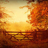 Buy canvas prints of The Five Barred Gate by Heather Goodwin