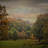 Buy canvas prints of The Arboretum by Heather Goodwin