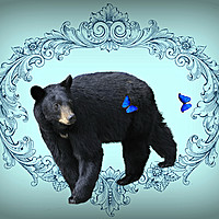 Buy canvas prints of The Bear and the Butterflies by Heather Goodwin