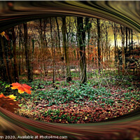 Buy canvas prints of Autumn - Deep Woods by Heather Goodwin