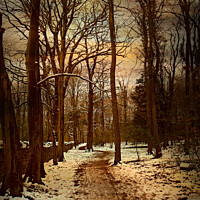 Buy canvas prints of  Snow Walk by Heather Goodwin