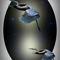 Buy canvas prints of Heron Escape by Heather Goodwin
