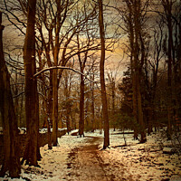 Buy canvas prints of  A Winters Walk by Heather Goodwin