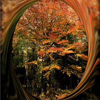 Buy canvas prints of Colour me Autumn by Heather Goodwin