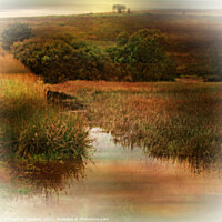 Buy canvas prints of Heathlands by Heather Goodwin