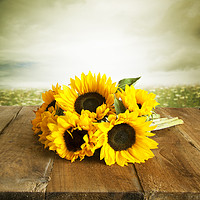 Buy canvas prints of Sunflowers On A Wooden Table by Lynne Davies