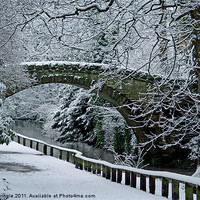 Buy canvas prints of Bridge In Snow by David Pringle