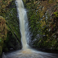Buy canvas prints of Linhope Spout Waterfall by David Pringle