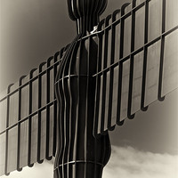 Buy canvas prints of Angel of the North by David Pringle