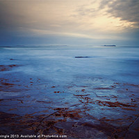 Buy canvas prints of Northumberland Coast by David Pringle