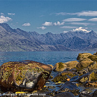 Buy canvas prints of Elgol by David Pringle