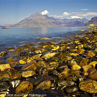 Buy canvas prints of Elgol by David Pringle