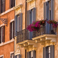 Buy canvas prints of Window Boxes by David Pringle