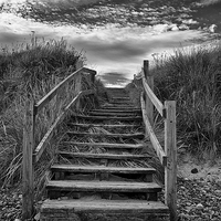 Buy canvas prints of Steps To The Beach by David Pringle