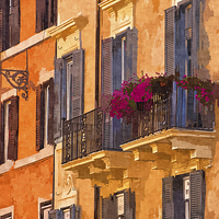 Buy canvas prints of Window Boxes by David Pringle