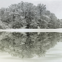 Buy canvas prints of Winter Reflection by David Pringle