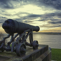 Buy canvas prints of Cannon by David Pringle
