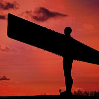 Buy canvas prints of Angel of the North by David Pringle