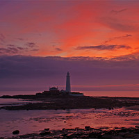Buy canvas prints of St Marys Lighthouse Sunrise by David Pringle