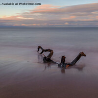 Buy canvas prints of Driftwood by David Pringle
