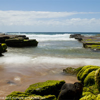 Buy canvas prints of Lunching at Turimetta by Bec Trinick