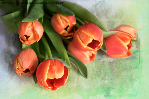 Tulips Picture Board by Lynn Bolt