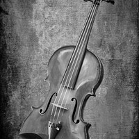 Buy canvas prints of Violin Study in Black and White by Lynn Bolt