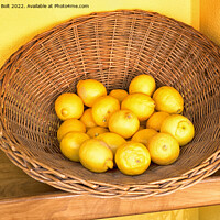 Buy canvas prints of Basket of Lemons by Lynn Bolt