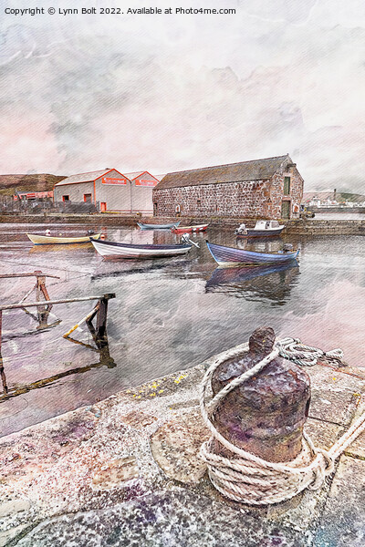 Hays Dock Lerwick Shetland Picture Board by Lynn Bolt