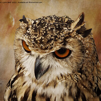Buy canvas prints of Eagle Owl by Lynn Bolt