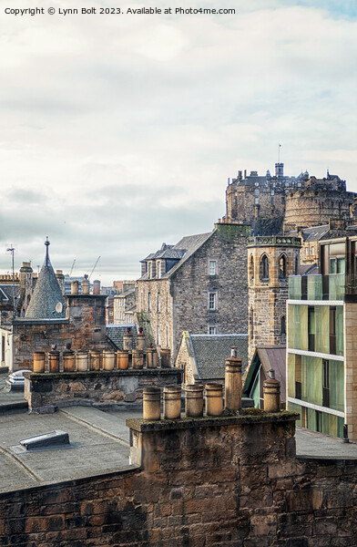 Rooftops of Edinburgh Picture Board by Lynn Bolt