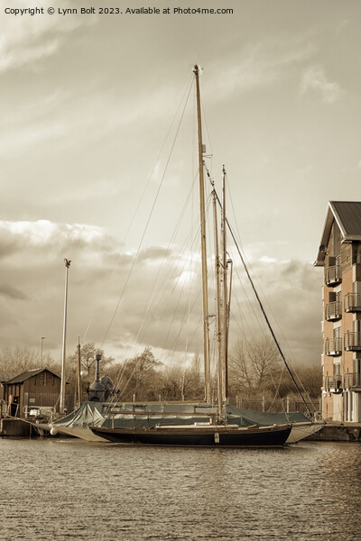 Yachts at Gloucester Quays in Sepia Picture Board by Lynn Bolt