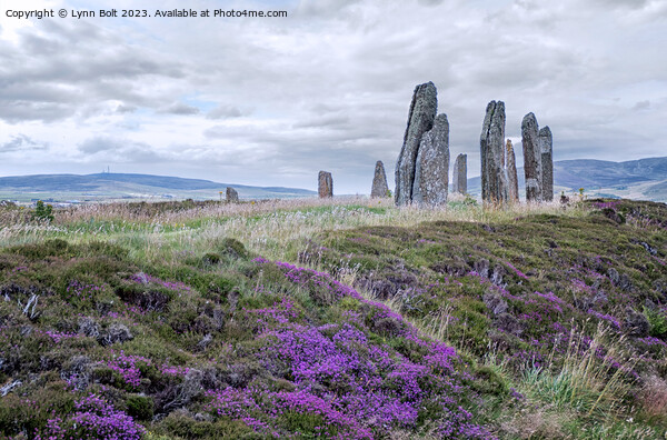 Ring of Brodgar Orkney Picture Board by Lynn Bolt